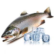 Рыба свежемороженая